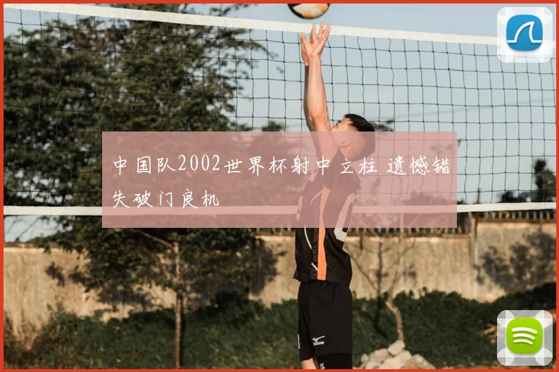 中国队2002世界杯射中立柱 遗憾错失破门良机