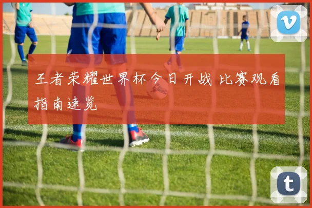 王者荣耀世界杯今日开战 比赛观看指南速览