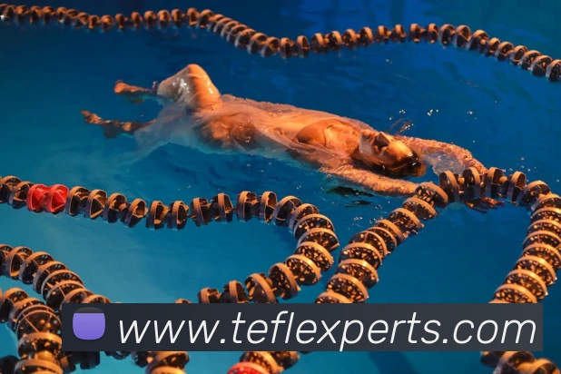 多媒体互动体验